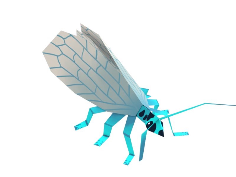 Neuroptera