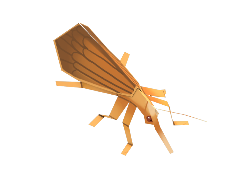 Tricopteros
